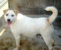 /album/estrelinhas-no-ceu/anita-jpg/