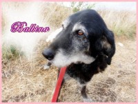 /album/estrelinhas-no-ceu/balbina-jpg/