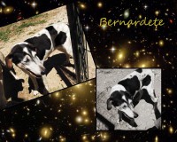 /album/estrelinhas-no-ceu/bernardete-jpg/