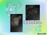 /album/estrelinhas-no-ceu/bola-jpg/