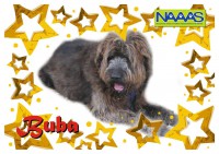 /album/estrelinhas-no-ceu/buba-jpg/