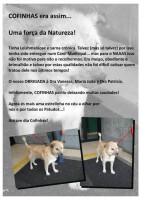 /album/estrelinhas-no-ceu/cofinhas-jpg/