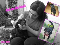 /album/estrelinhas-no-ceu/cuca-jpg/