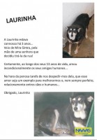 /album/estrelinhas-no-ceu/laurinha-jpg/