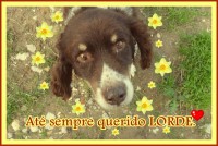 /album/estrelinhas-no-ceu/lorde-jpg/