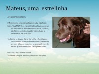 /album/estrelinhas-no-ceu/mateus-jpg/