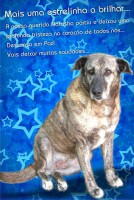 /album/estrelinhas-no-ceu/natasha-jpg/