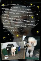 /album/estrelinhas-no-ceu/nicho-jpg/