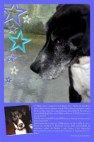 /album/estrelinhas-no-ceu/pablo-jpg/