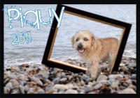 /album/estrelinhas-no-ceu/piquy-jpg/