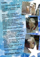 /album/estrelinhas-no-ceu/pixie-jpg/