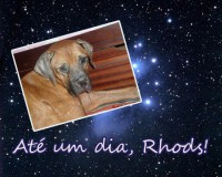 /album/estrelinhas-no-ceu/rhods-jpg/