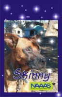 /album/estrelinhas-no-ceu/skinny-jpg/