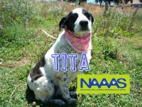 /album/estrelinhas-no-ceu/tita-jpg/