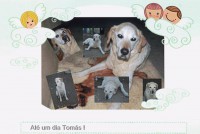 /album/estrelinhas-no-ceu/tomas-jpg/