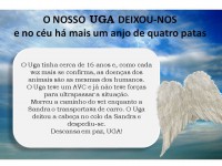 /album/estrelinhas-no-ceu/uga-jpg/