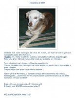 /album/estrelinhas-no-ceu/violeta-jpg/