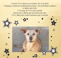 /album/estrelinhas-no-ceu/vovo-jpg/