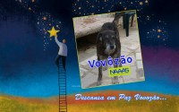 /album/estrelinhas-no-ceu/vovoz%c3%a3o-jpg/