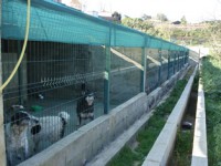 /album/instala%c3%a7%c3%b5es/dsc02315-jpg/