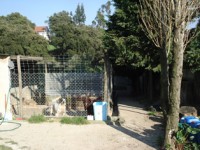 /album/instala%c3%a7%c3%b5es/dsc02317-jpg/