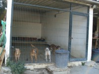 /album/instala%c3%a7%c3%b5es/dsc02319-jpg/