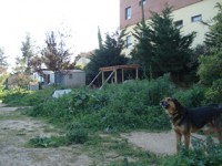 /album/instala%c3%a7%c3%b5es/dsc02324-jpg/