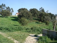 /album/instala%c3%a7%c3%b5es/dsc02328-jpg/