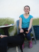 /album/instala%c3%a7%c3%b5es/dsc02331-jpg/