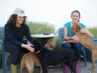 /album/instala%c3%a7%c3%b5es/dsc02332-jpg/