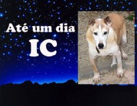 /album/estrelinhas-no-ceu/ic-jpg/