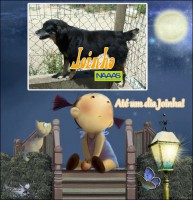 /album/estrelinhas-no-ceu/joinha-jpg/