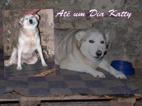 /album/estrelinhas-no-ceu/katy-jpg/