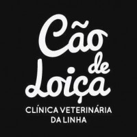 Clínica Veterinária Cão de Loiça, Parede